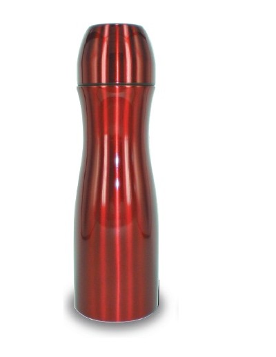 Stainless Steel Sport Bottle