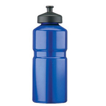 Stainless Steel Sport Bottle