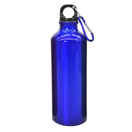 Stainless Steel Sport Bottle