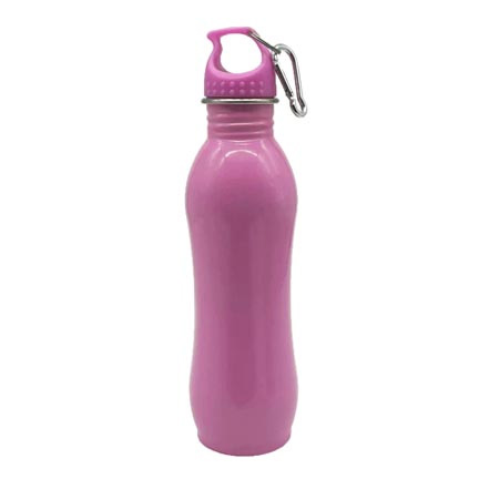 Stainless Steel Sport Bottle