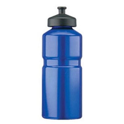 Stainless Steel Sport Bottle