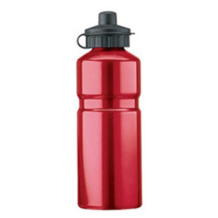 Stainless Steel Sport Bottle