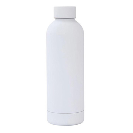 Stainless Steel Sport Bottle