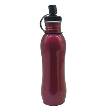 Stainless Steel Sport Bottle