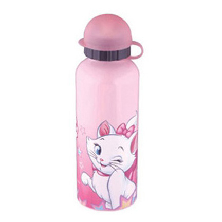 Stainless Steel Sport Bottle