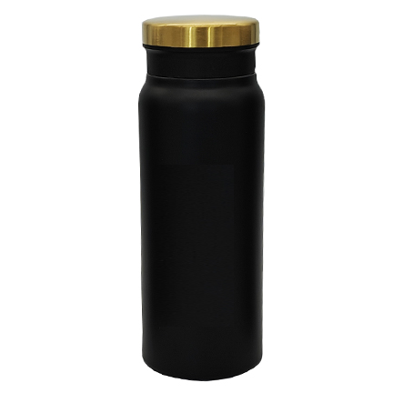 Stainless Steel Sport Bottle