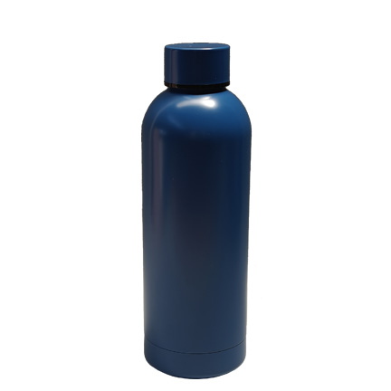 Stainless Steel Sport Bottle
